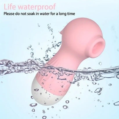 Clit and Vagina Sucking Vibrator for Women