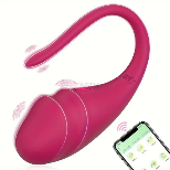 Vibrating Egg-App