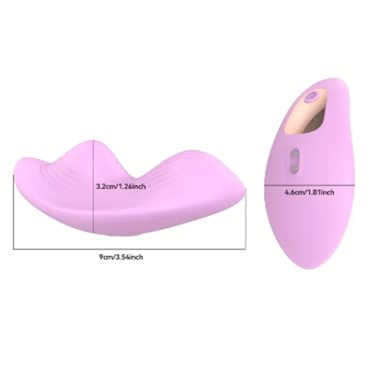 App-Controlled Wearable Panty Vibrator