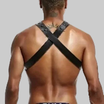 Bulldog Harness