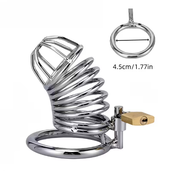 Chastity Lock Bird Cage