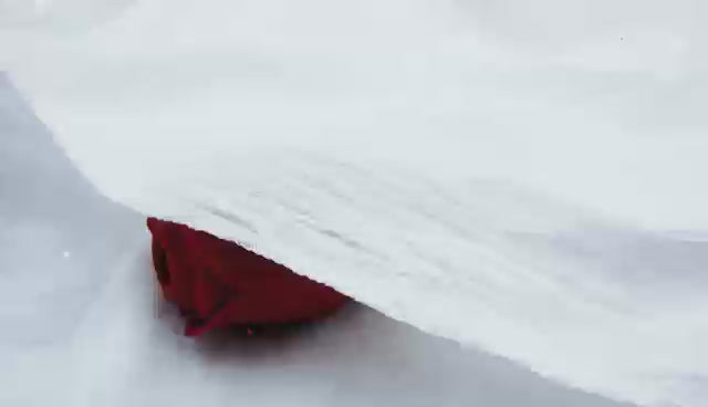 Sucking Rose with Butterfly and Stem