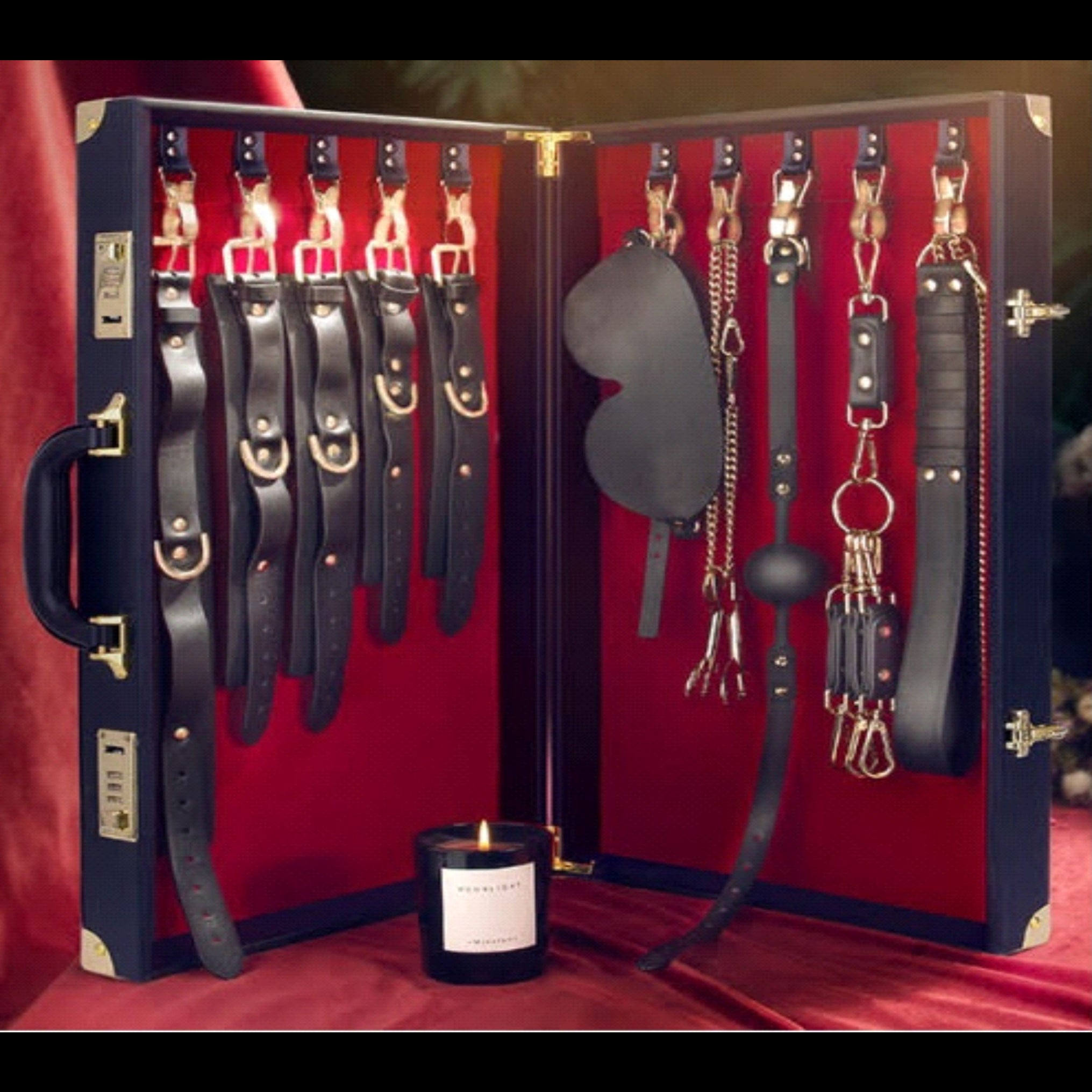 Bondage Set in Briefcase