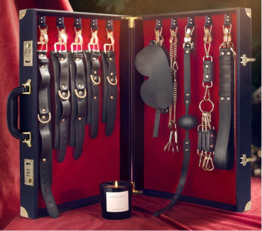 BONDAGE SET IN BRIEFCASE