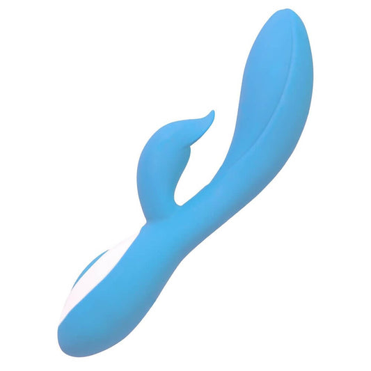 Swan Wonderlust Harmony - Blue